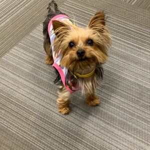 Meet your Posher, Alli